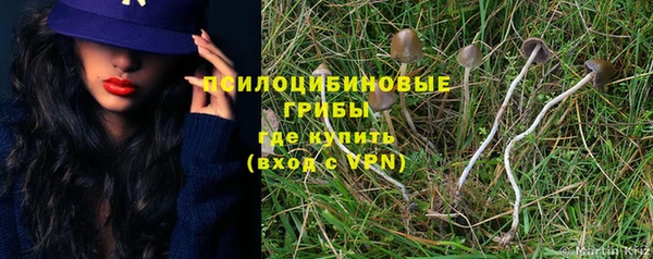 сатива Грязи