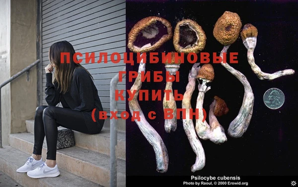 стафф Алзамай
