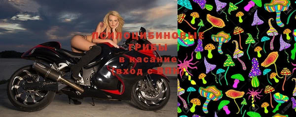 стафф Алзамай