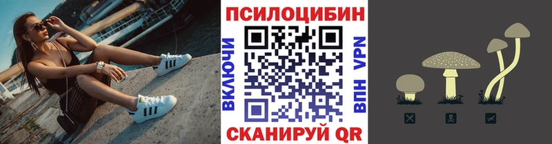 МЕГА онион дарнет шоп Осташков Галлюциногенные грибы GOLDEN TEACHER