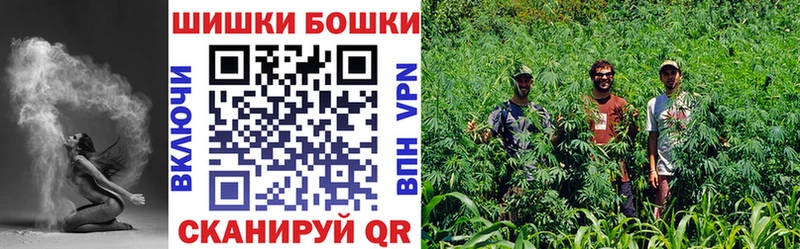 МАРИХУАНА сатива  закладка  Осташков 